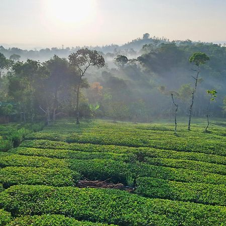 Best Mist Idukki Extérieur photo