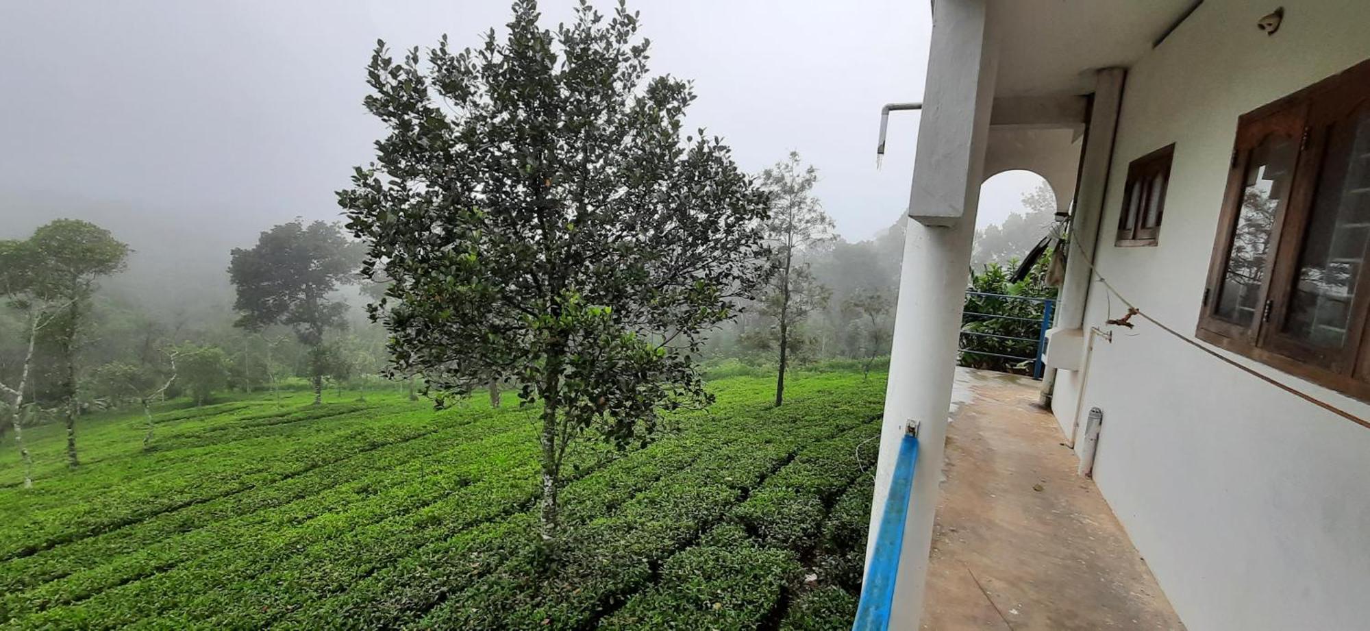 Best Mist Idukki Extérieur photo