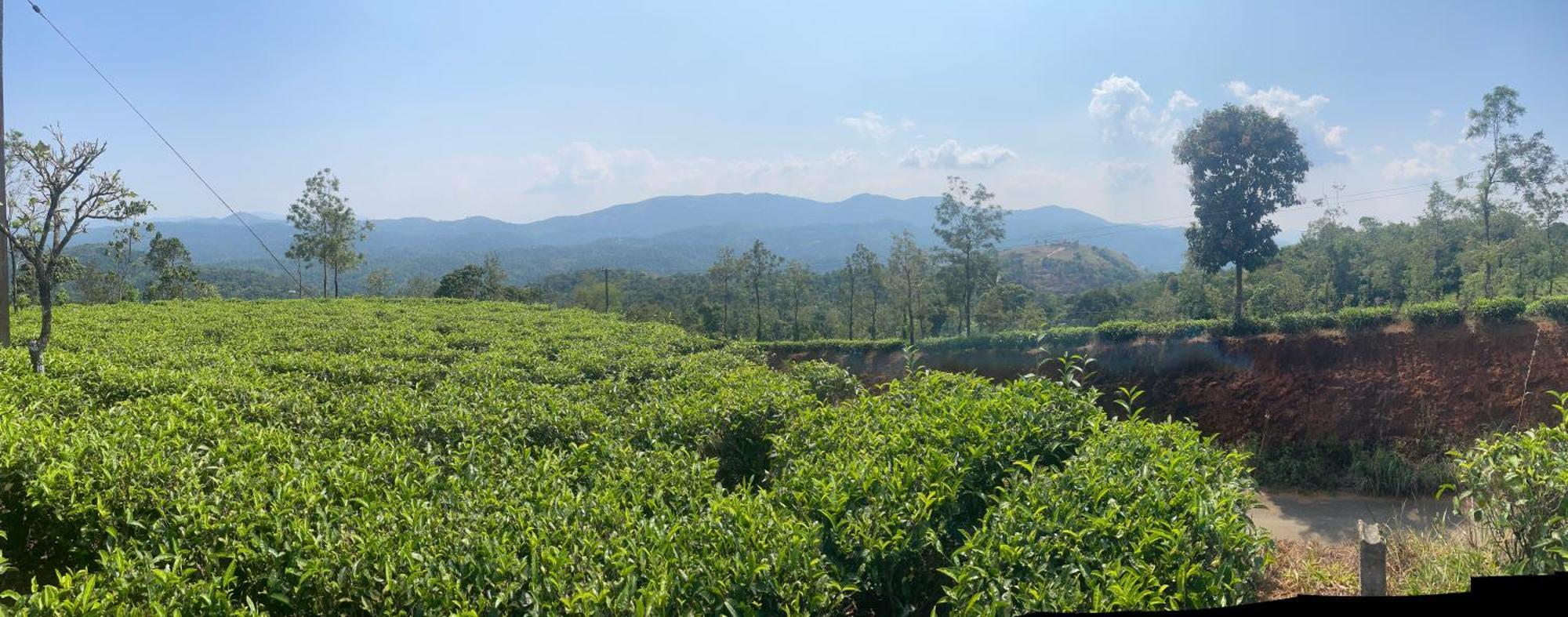 Best Mist Idukki Extérieur photo