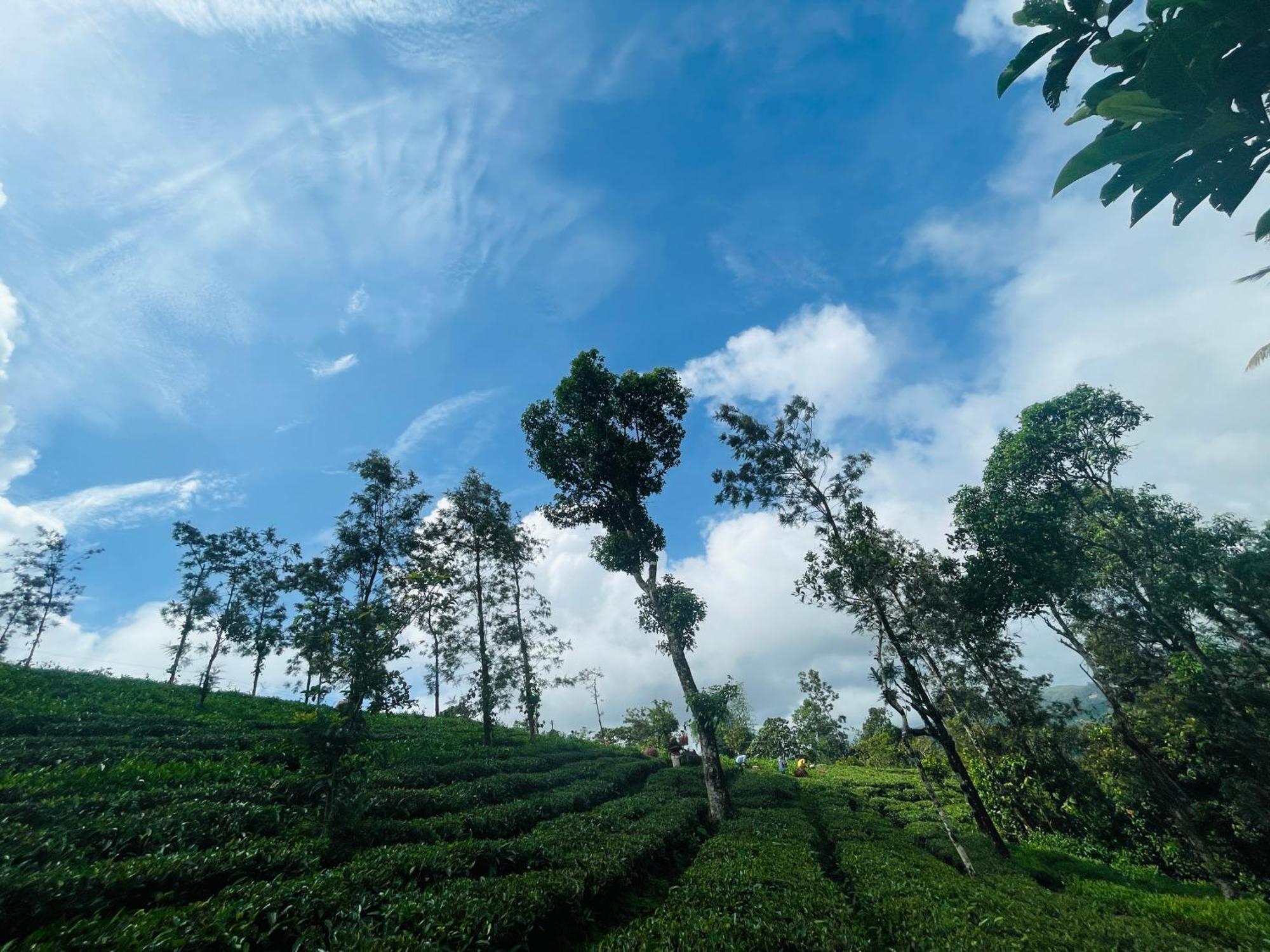Best Mist Idukki Extérieur photo
