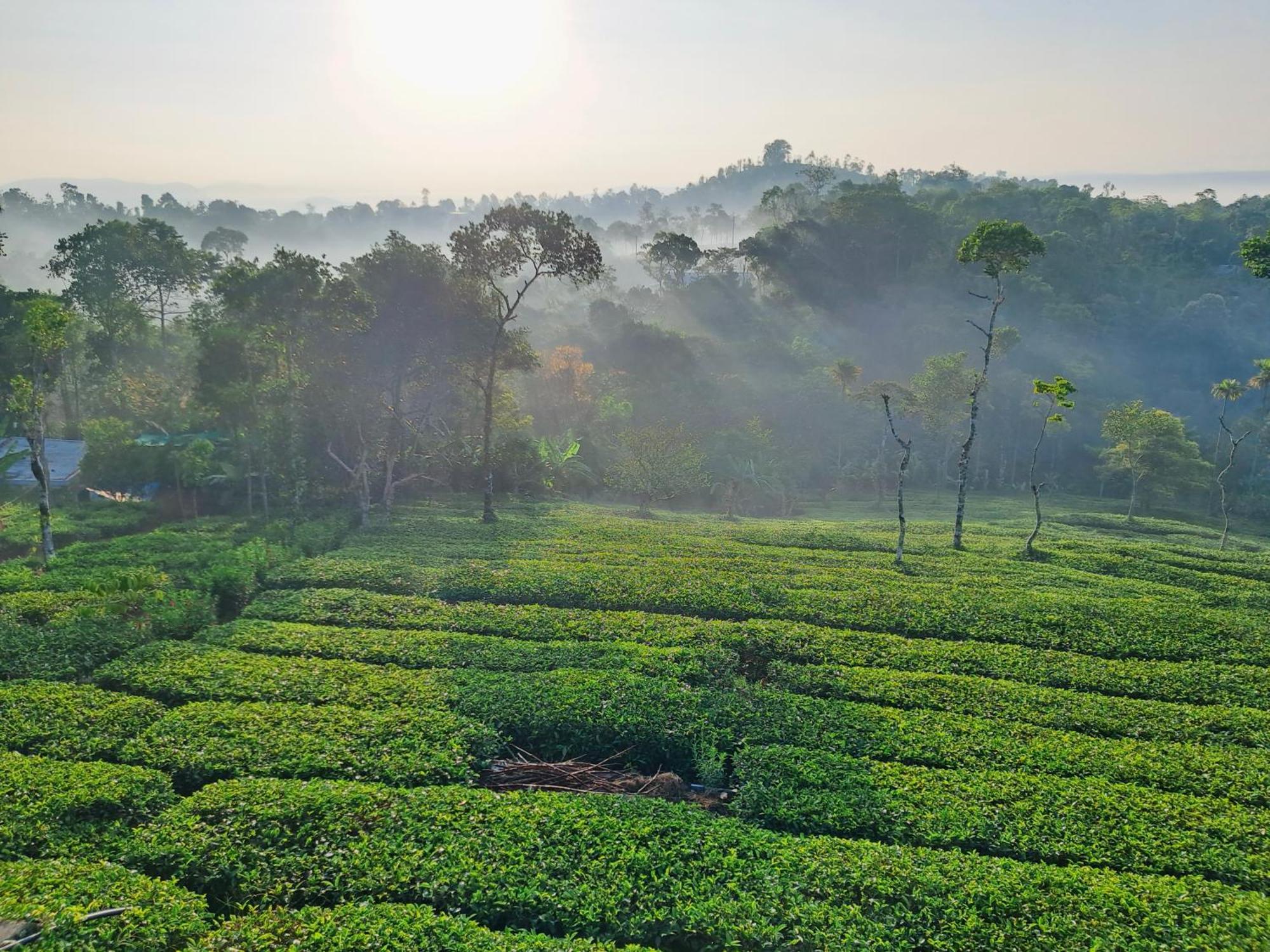 Best Mist Idukki Extérieur photo